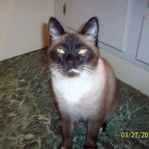 Meet your Posher, Jackie